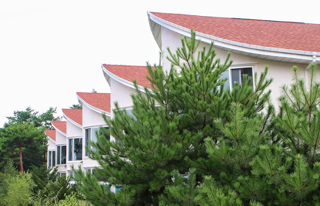 Club Castle - Photo 58