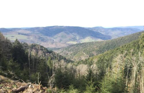 Appartement studio - Foto 18