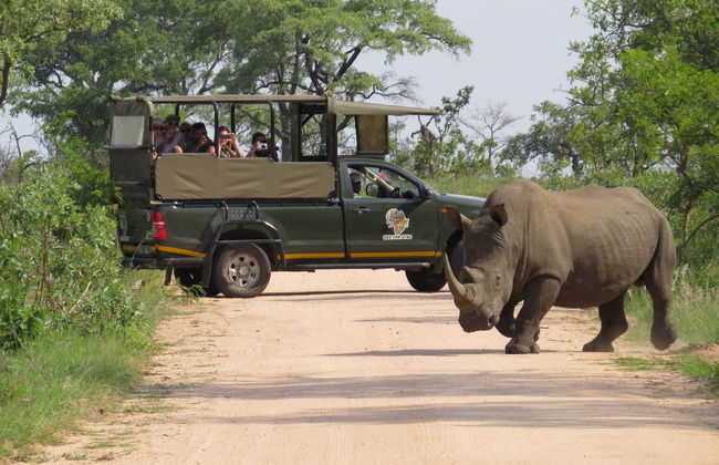 Safári de 3 dias pelo Parque Nacional Kruger - Foto 5