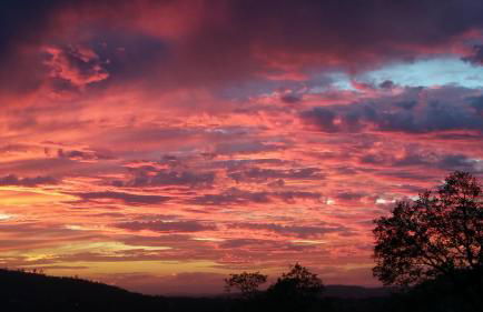 Yosemite Foothill Retreat - Private Guest Suite #3 - Foto 31