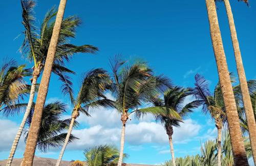 Ferienwohnung Lugar Con Alma, Tarajalejo, Balkon, Strandnah, WiFi - Photo 25