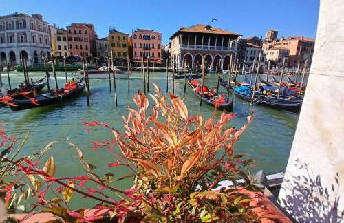 Grand Canal Diamond - Photo 42