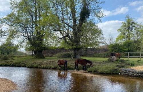 Lilypad A central location to explore the New Forest & South Coast - Foto 26