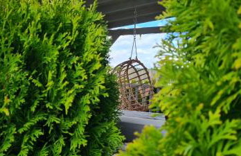 Cinema House Mazury - Foto 7