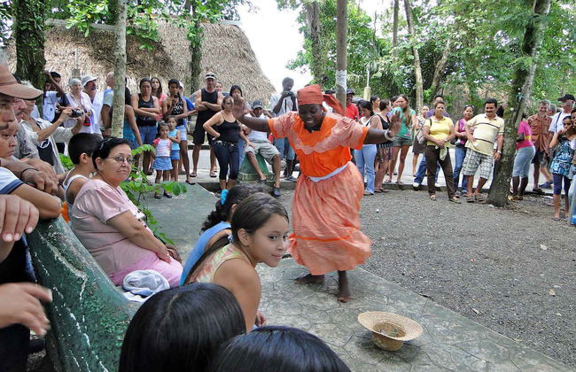 Tour di Roatán in quad - Foto 2