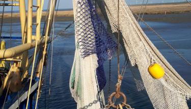 Top EG Rollstuhlwohnung 80qm zum Frühjahr- und Sommerpreis - Foto 4