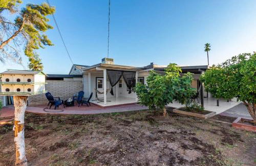 New Midtown Modern Studio With Backyard (Unit B) - Foto 32