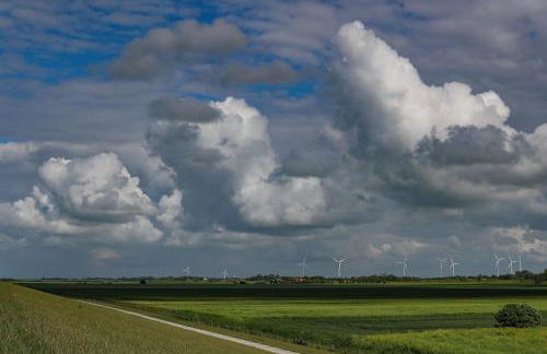 Heimathafen Sillenstede - Foto 36