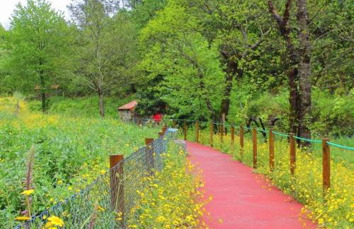 Holiday Home Ländliche Finca Casa da Rocha by Interhome - Foto 42