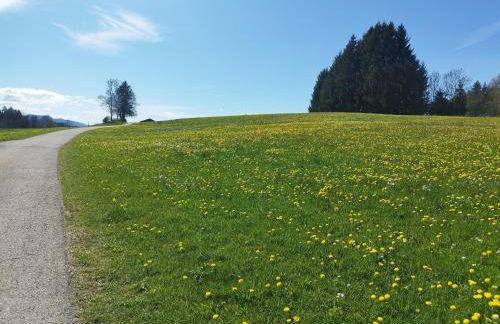 Ferienwohnung Höllisch - Foto 38