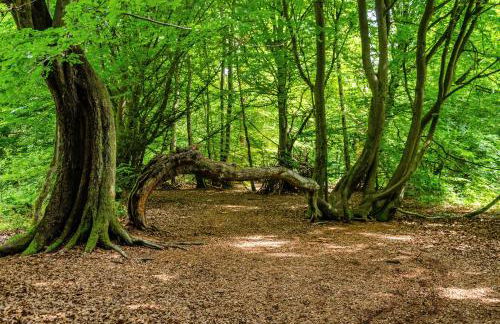 Villa Gottstreu - Foto 42