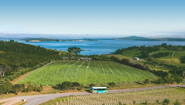 Waiheke Island Hop-On Hop-Off Explorer Bus from Auckland (Small Group Tour) - Walk-up Ferry Return - Foto 2
