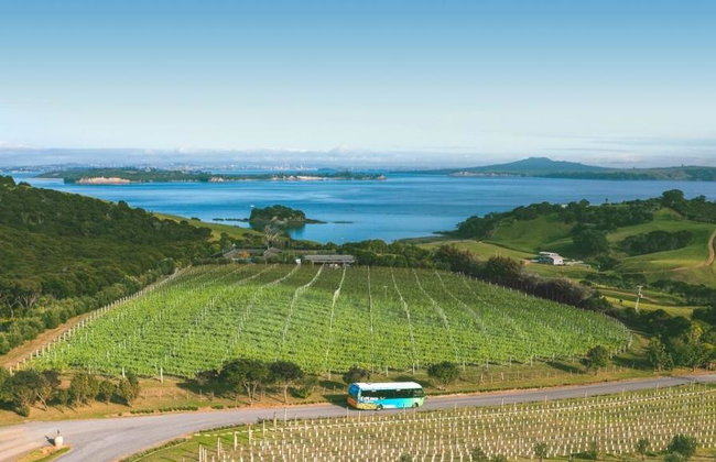 Waiheke Island Hop-On Hop-Off Explorer Bus from Auckland (Small Group Tour) - Walk-up Ferry Return - Foto 2