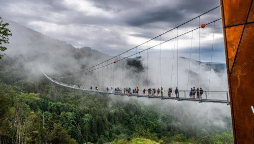 Berghof Almzeit - Fewo "Philosophenstüble", Sauna, Todtnauberg, Feldberg - Foto 2