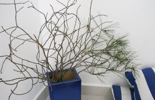 Apartments Stefani - Foto 28