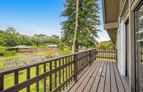 Sea Turtle Life - Photo 9