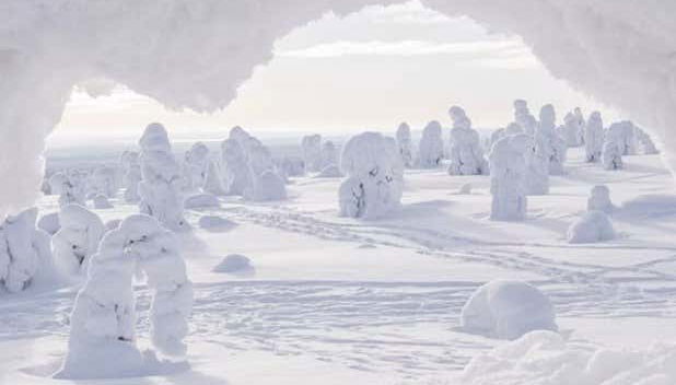 Riisitunturi National Park Hiking - Foto 5