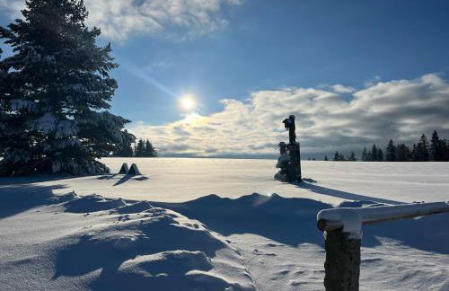 Ferienwohnung Am Kanadablick - Foto 19