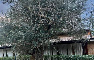 Agriturismo a casa di Susanna - Foto 7