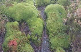 Casa MiraXurés con vistas a la Sierra del Xurés - Foto 59