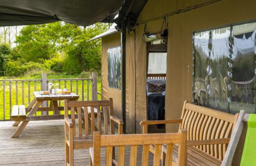 Linnet - Sweffling Hall - Foto 17