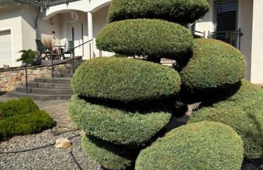 Moselgold Apartment - Foto 31