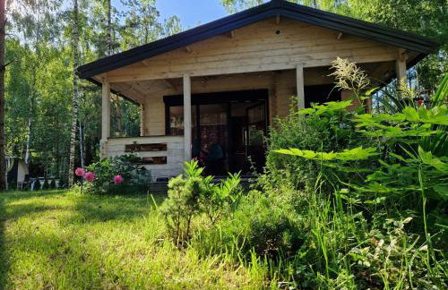 Sosnowa Odnowa - domek na Mazurach z sauną i balią - Foto 1