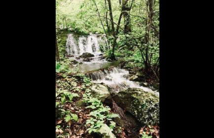 Clouds Cabin - HotTub, Mtn View, Pets - Photo 9