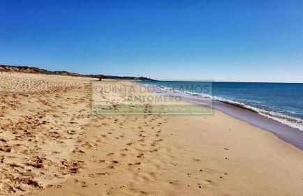 Apartamento AH - Foto 19