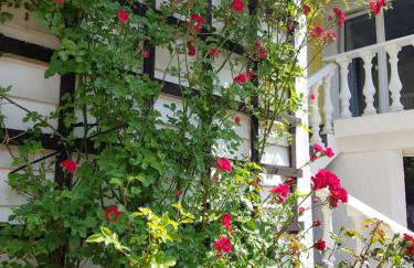 Willa Różana - Foto 28