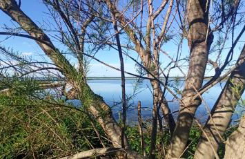 Casa Vacanze Nel Delta del Po - Foto 28