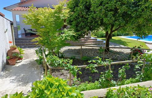 Casa da Gardunha - Photo 6