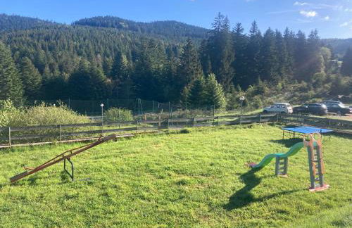 Le Perchoir du Grand Valtin - Gîte 5 personnes - Altitude 830 - Foto 29