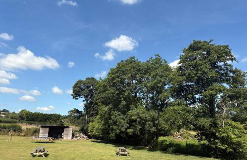 Portbridge Nest - Foto 17