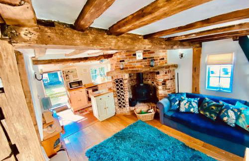 The Nutshell - Foto 6