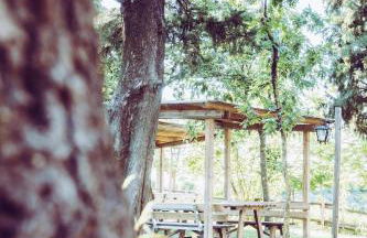 Agriturismo La Querciola - Foto 19