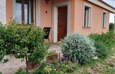 agriturismo gli olivastri -appartamento bel vedere con piscina ,solarium e vista mare,climatizzatore ,wifi - Photo 7