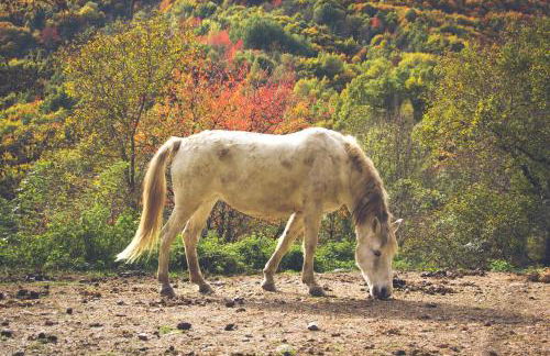 Casa Etxalde - Photo 35