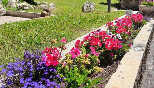 Casa Vacanze Domus Angela - Foto 4