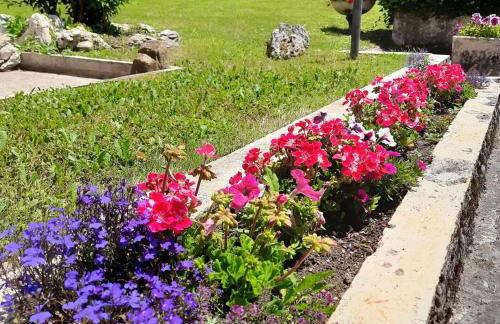 Casa Vacanze Domus Angela - Foto 4