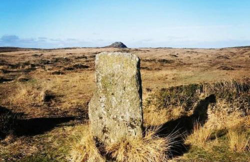 The Flower House - Photo 19