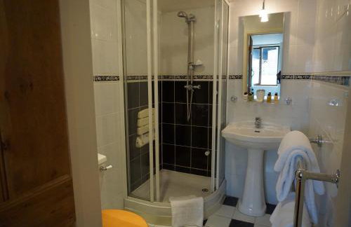 Sheep Dip Cottage - 5* Cyfie Farm, with log burner and private hot tub - Foto 13