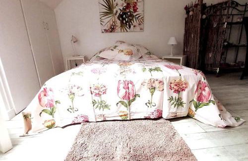 Le Cocon rouge - studio en plein centre historique - Photo 15