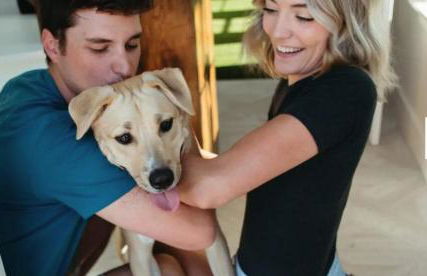 Landing Stunning 1BD Clubhouse Pool - Foto 51