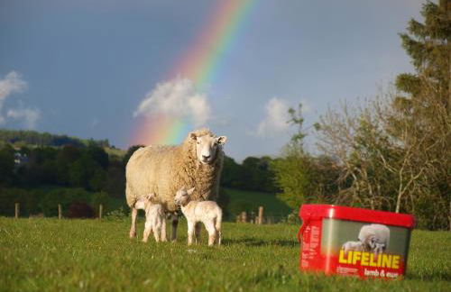 Incheoch Farm Granary - Foto 23