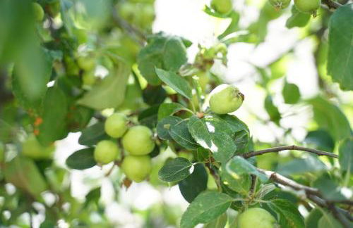 Villa Fontenailles - Foto 16