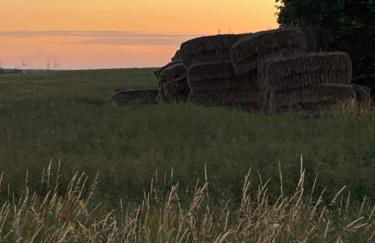 Pfarrhaus Tollensesee - Foto 36