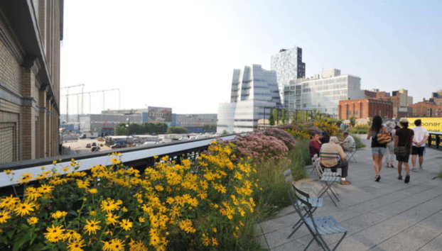Tour pelo High Line - Foto 3
