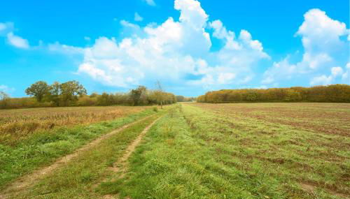 Gite La Bessede - Dordogne - Foto 4