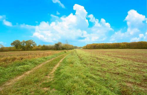 Gite La Bessede - Dordogne - Foto 4